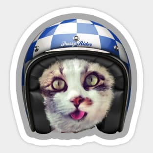 Biker Cat Sticker